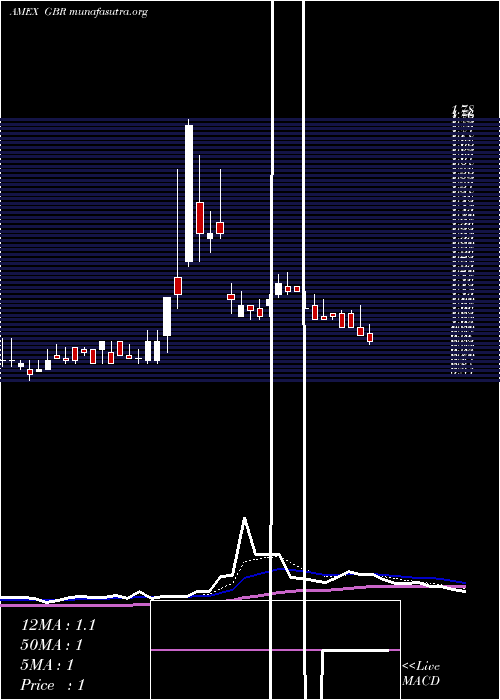  Daily chart NewConcept