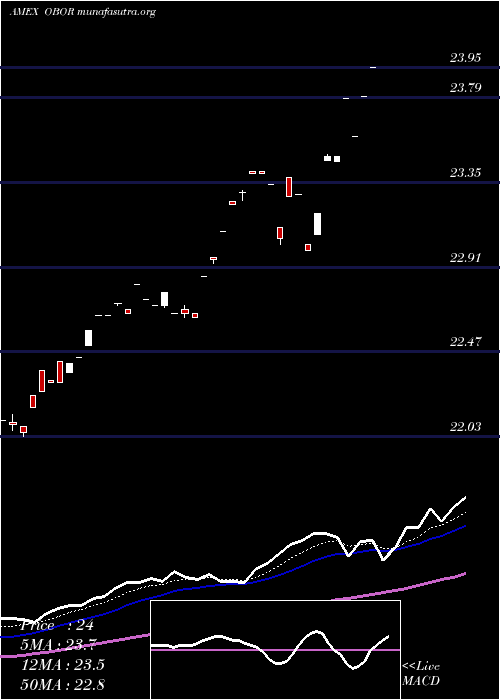 Daily chart KsMsci