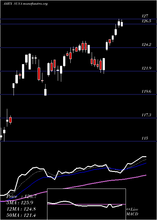  Daily chart UsaEsg