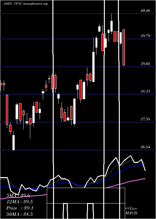  Daily chart TimothyPlan