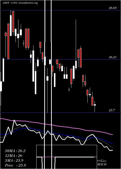  Daily chart WisdomtreeBloomberg