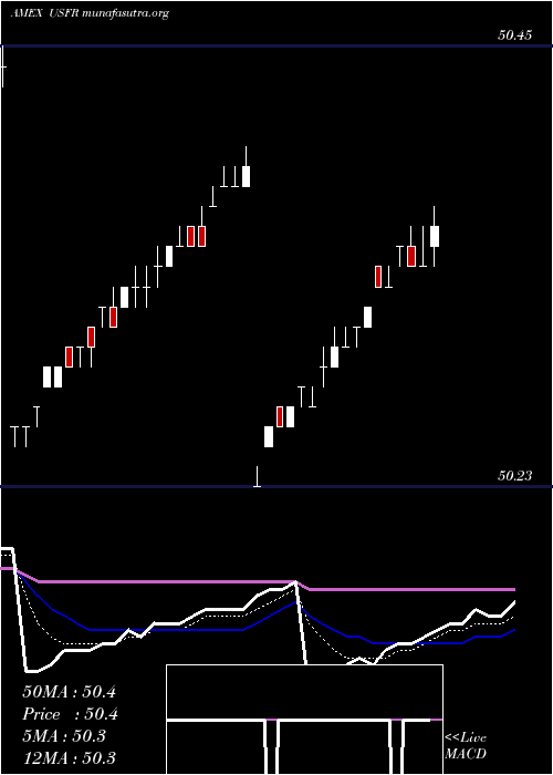  Daily chart WisdomtreeBloomberg