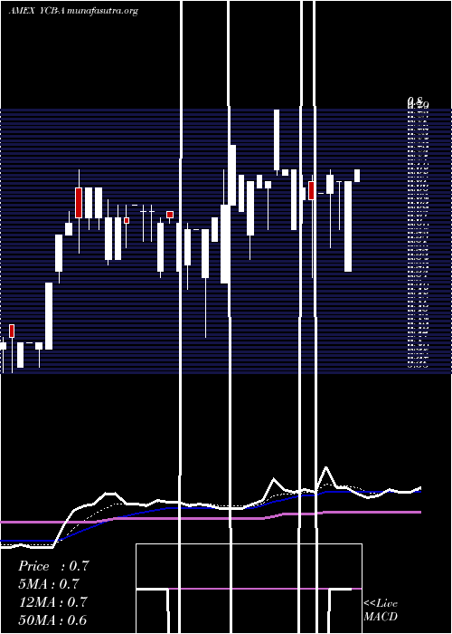  Daily chart CbdmdInc