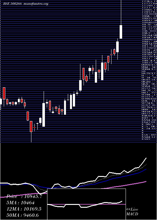  Daily chart MahScooter