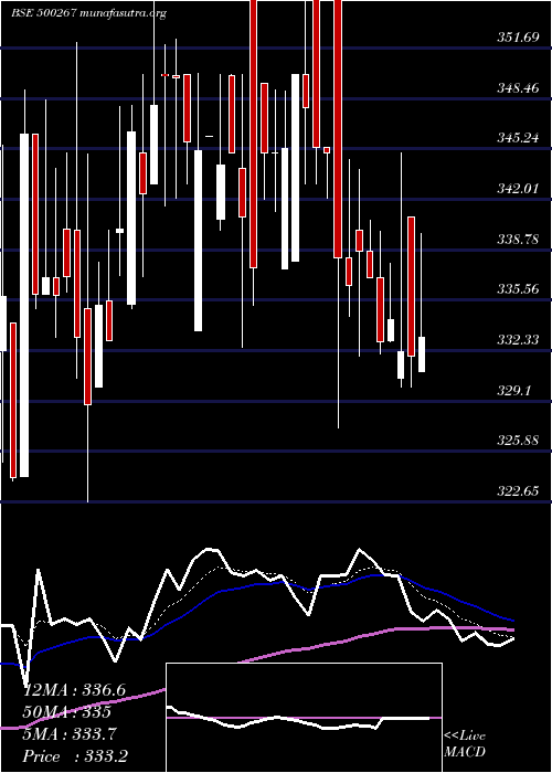  Daily chart MajesticAut
