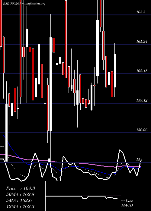  Daily chart ModisonMet