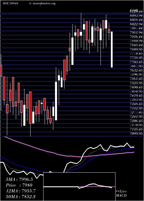  Daily chart HawkinsCook