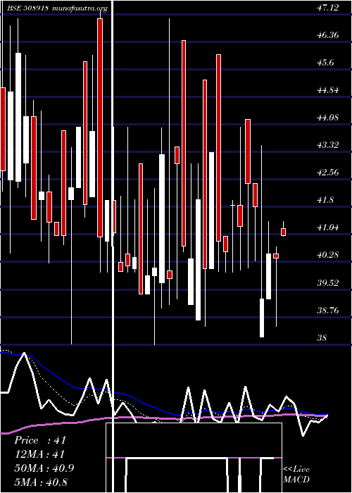  Daily chart Greycells