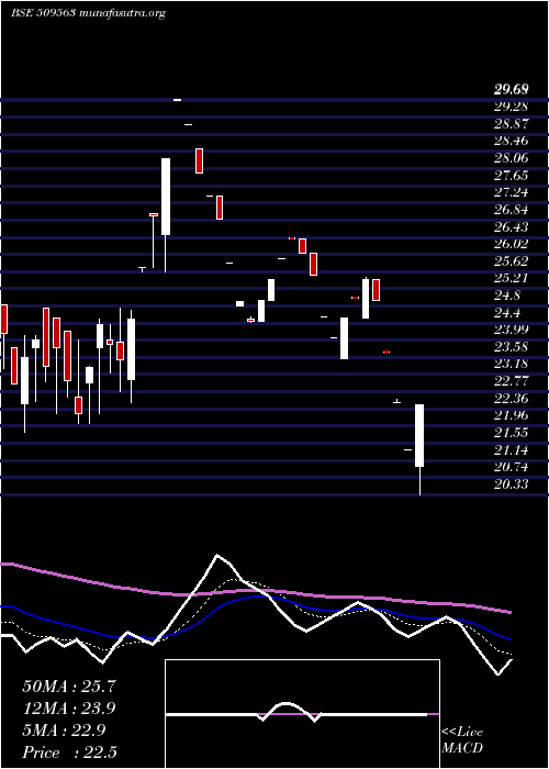  Daily chart GarwaMarine