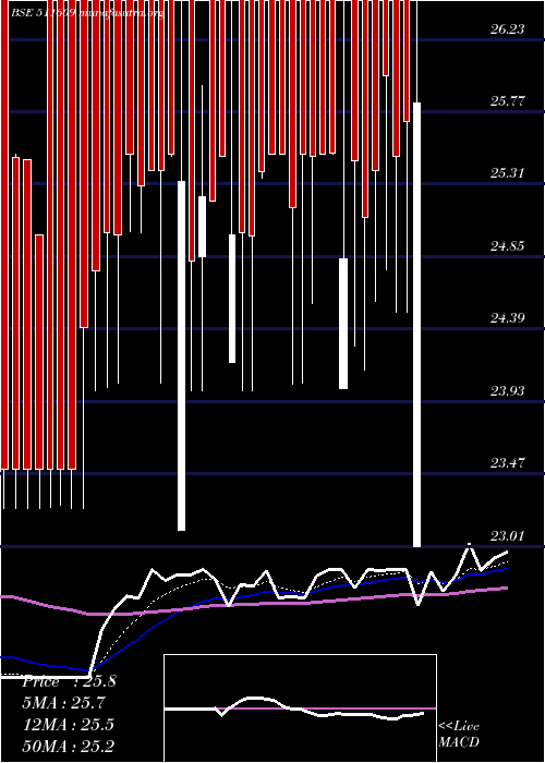 Daily chart IslConsult