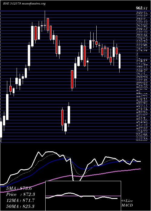  Daily chart AvantiFeeds