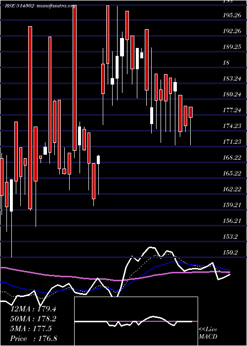  Daily chart VippySpin