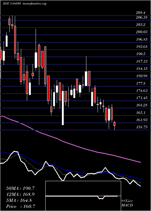  Daily chart Yashpakka