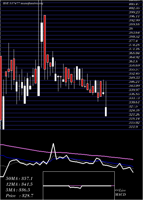  Daily chart ElnetTech