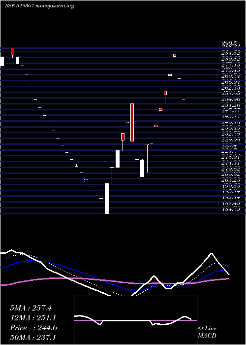  Daily chart TransglFood