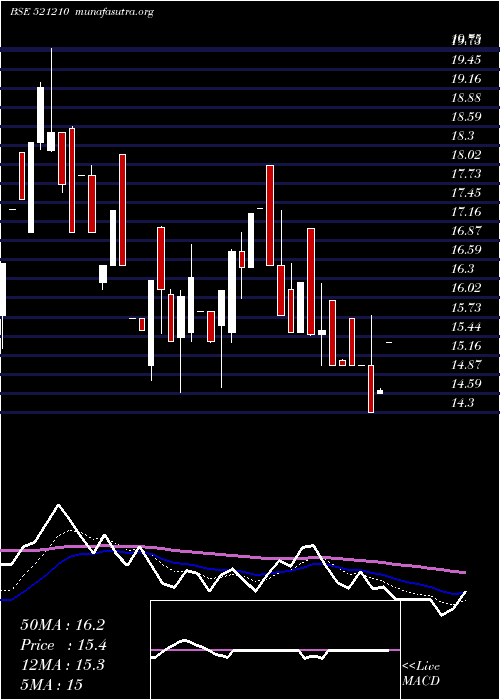  Daily chart Cityman