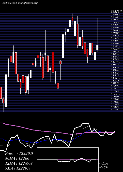  Daily chart NeulandLab