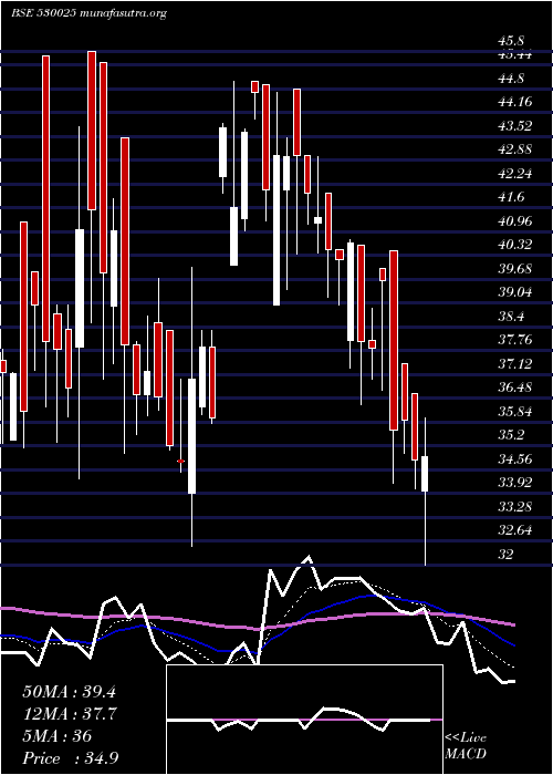  Daily chart SamyakInt