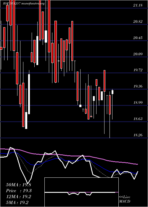  Daily chart PratikshaCh