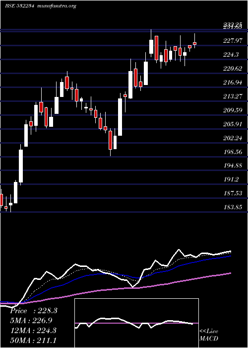  Daily chart NatAlum