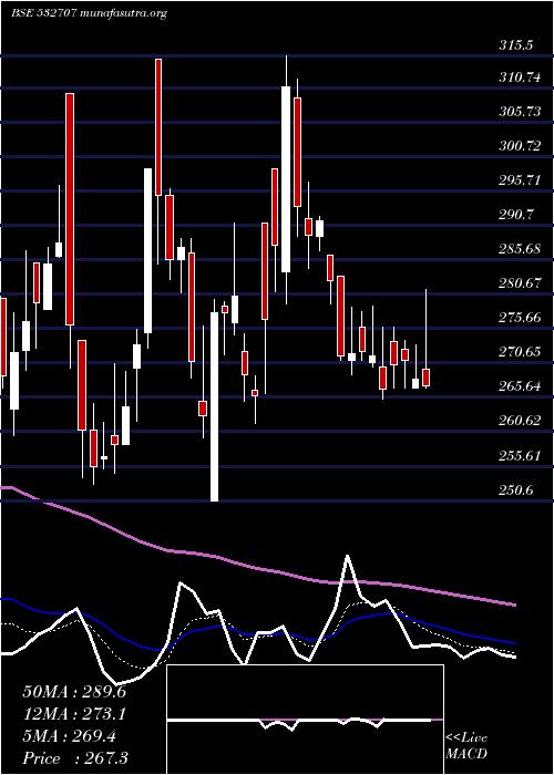  Daily chart DynemicPro