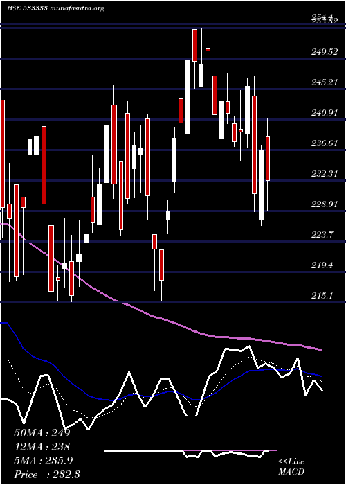  Daily chart FineotexCh