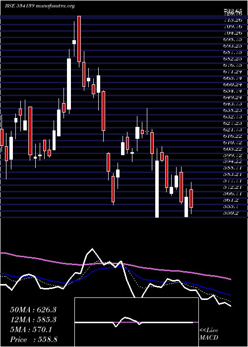  Daily chart Schneider