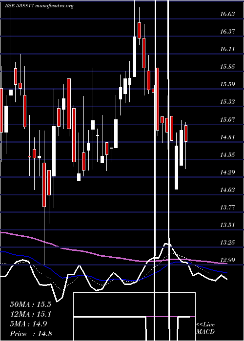  Daily chart Cappipes