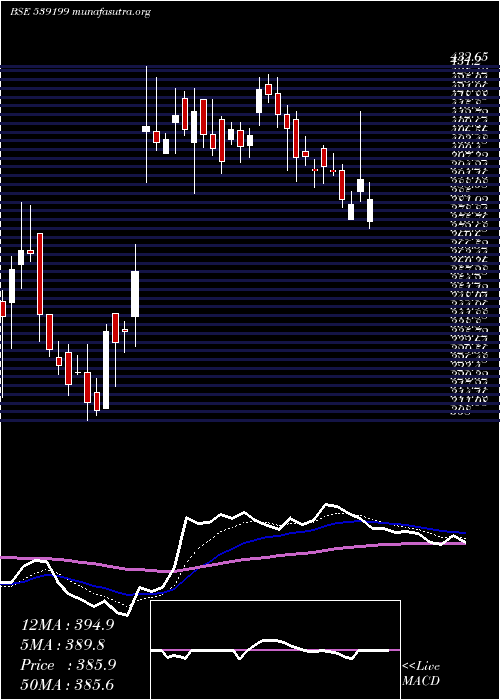  Daily chart Moongipasec