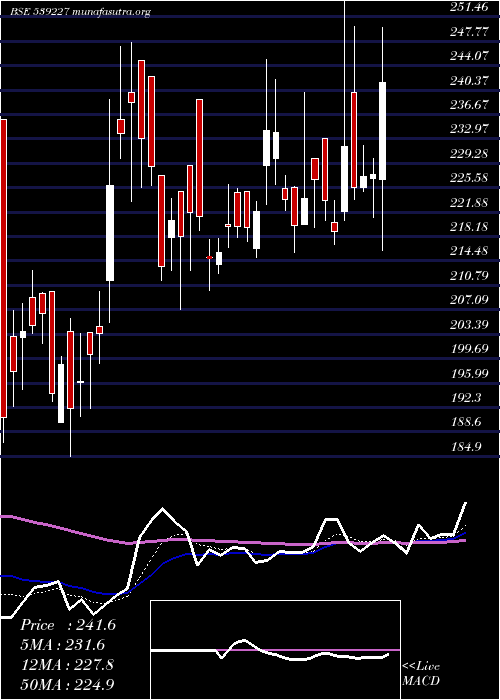 Daily chart Loyal