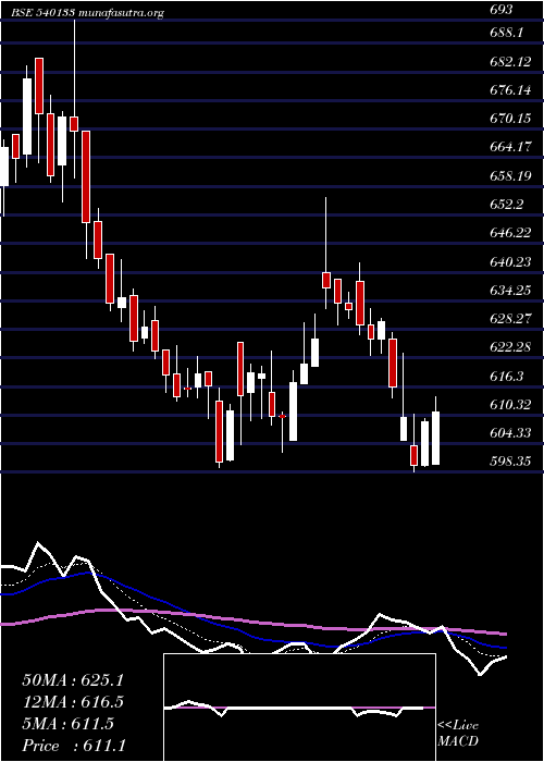 Daily chart Icicipruli