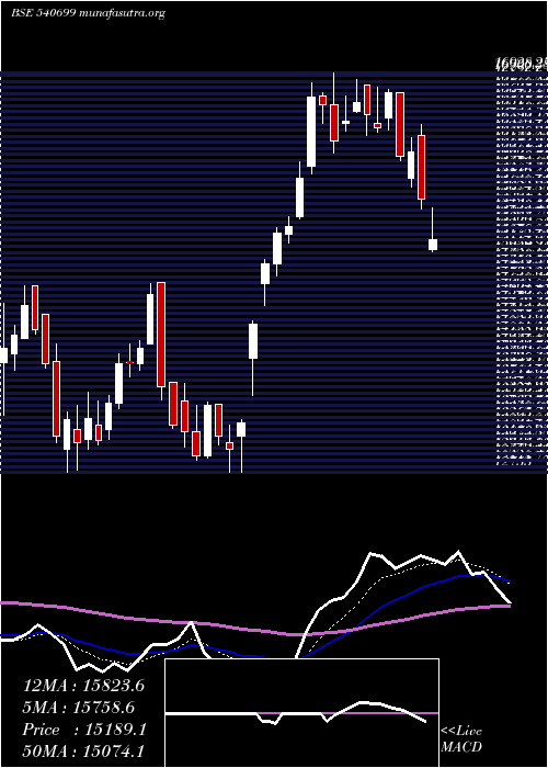  Daily chart Dixon