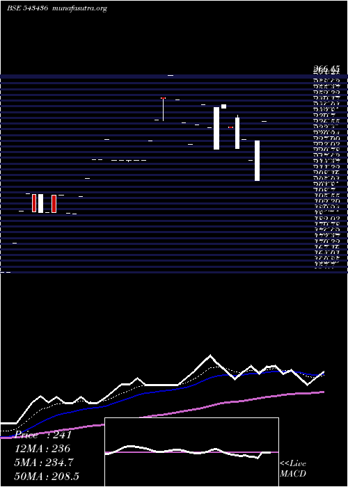  Daily chart Wits