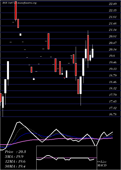  Daily chart Iel