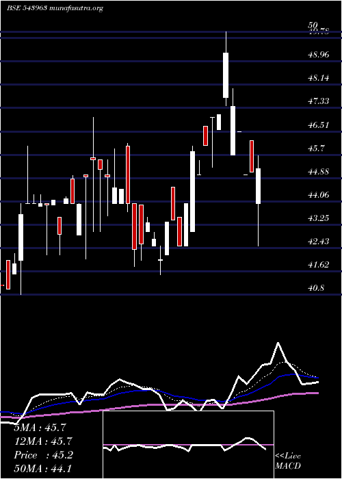  Daily chart Shelter