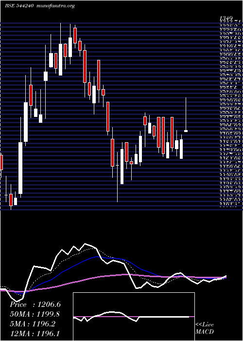  Daily chart RaymondLifestyle