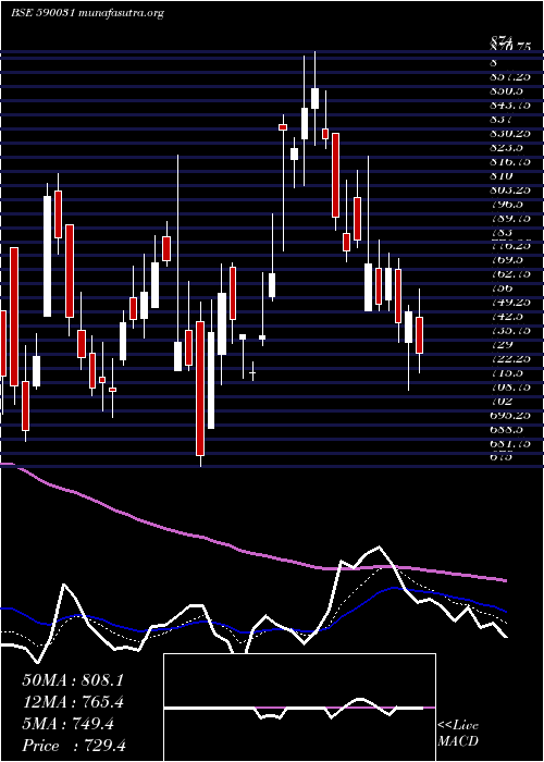  Daily chart DeNora