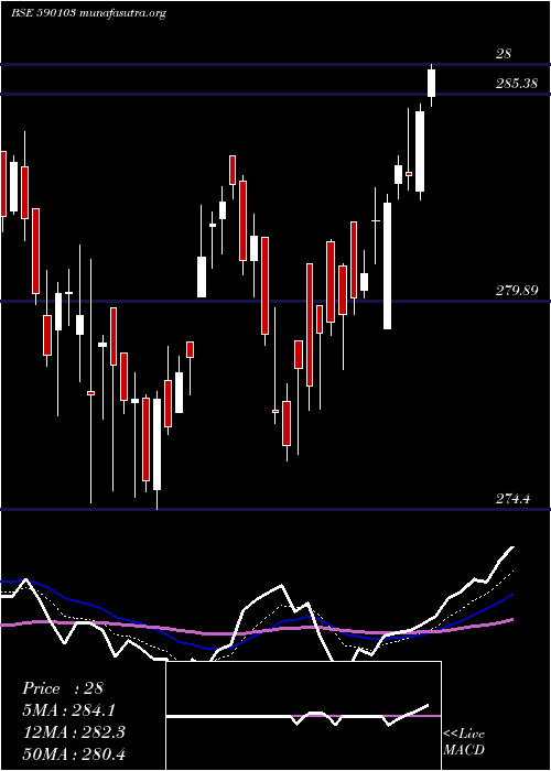  Daily chart Niftybees
