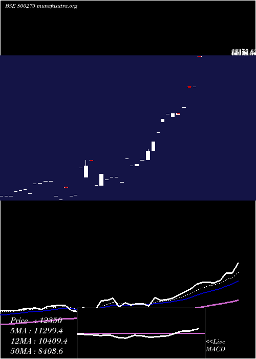  Daily chart Sgbnov25a