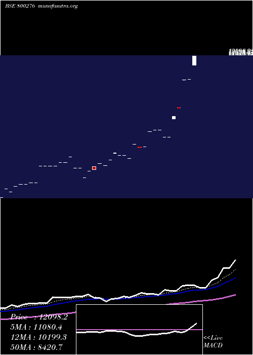  Daily chart Sgbnov25b
