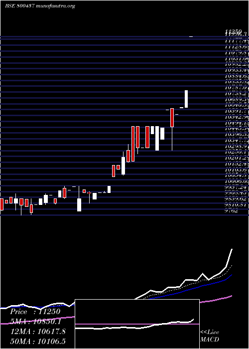 Daily chart Sgbdec29