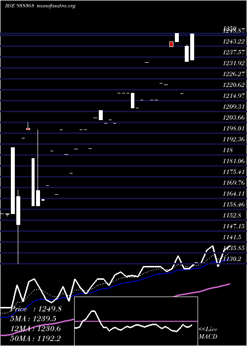  Daily chart Zcefsl28