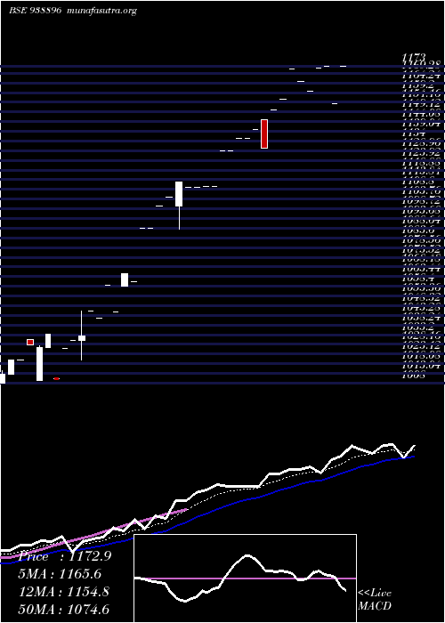  Daily chart 0efsl25
