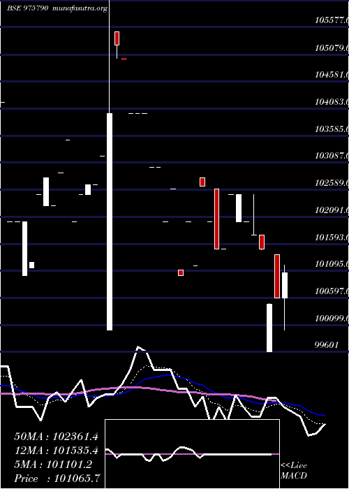  Daily chart Usfbl11