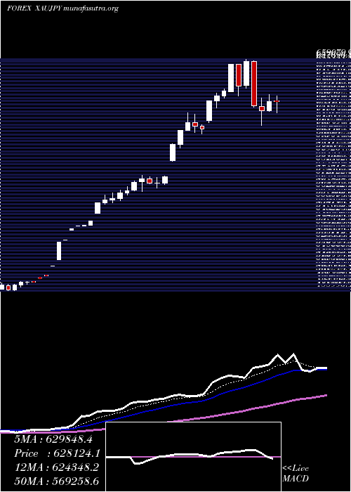  Daily chart GoldJapanese