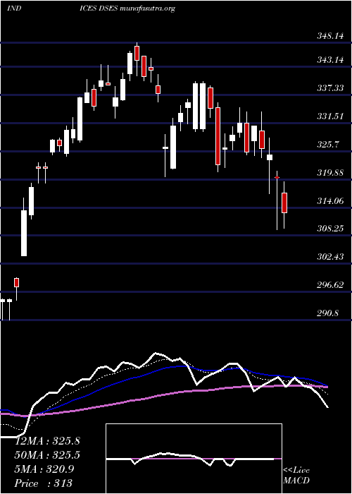  Daily chart US