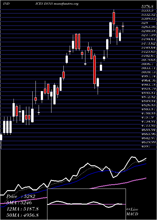  Daily chart DjUs