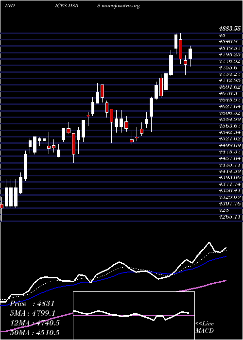  Daily chart DjUs
