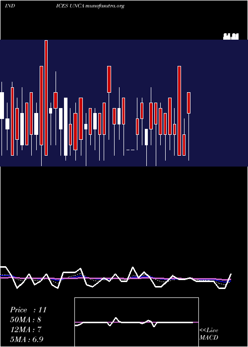  Daily chart AmexUnchanged