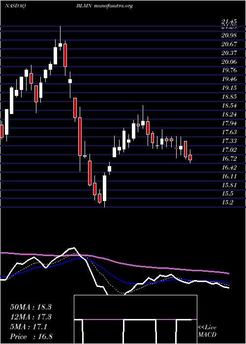  Daily chart BloominBrands